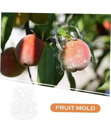 Kisangel 2pcs Shaped Fruit Novel Shaping Adorable Forming Shaper Accessories Watermelon - Buy Online on GoSupps.com