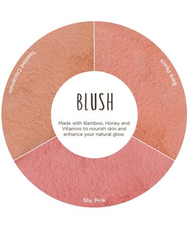 Burt's Bees 100% Natural Blush with Vitamin E - Toasted Cinnamon 0.19 oz (Pack of 1) - Buy Online on GoSupps.com