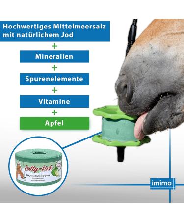 Imima Lolly-Lick Apple 750g - Delicious Apple Candy | International Shipping Available - Buy Online on GoSupps.com