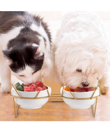 Trosetry Cat Bowls - Double Ceramic Pet Bowls with Raised Tilted Stand for Food and Water - Anti Vomiting Cat Feeder - Ideal for Puppy Cats and Small Dogs - Buy Online on GoSupps.com