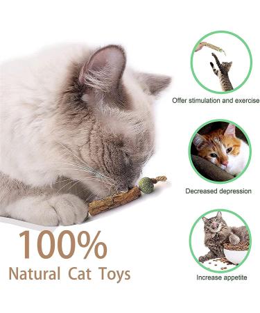 Organic Catnip Sticks Set - 3 Pieces for Dental Care & Chewing Toys | Cat Dental Health Products - Buy Online on GoSupps.com