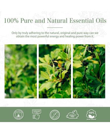 PHATOIL Camphor Essential Oil 30ML - Premium Grade Pure Oil for Diffusers, Aromatherapy, and Candle Making - Buy Online on GoSupps.com