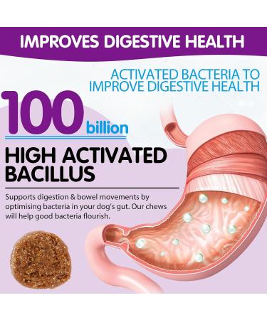 Tioueo Probiotic Digestive Chews 120pcs - Digestive Harmony, Skin Comfort, Allergy Relief, Immune Boost for Dogs - Ultimate Canine Wellbeing - Buy Online on GoSupps.com