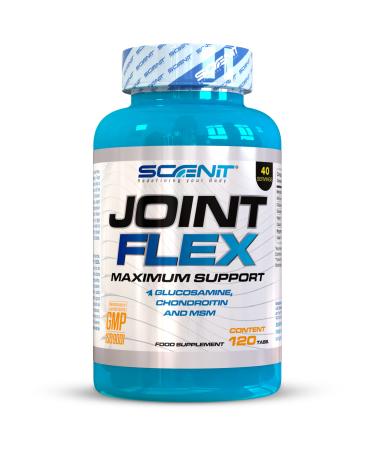Glucosamine Chondroitin MSM - Joint Flex - 120 tablets - Chondroitin Glucosamine - Glucosamine Chondroitin MSM Complex - Glucosamine Chondroitin Complex - Painful Joints