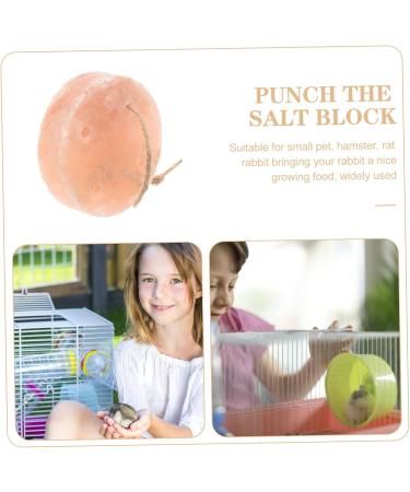 TOBBOMEY Pet Saline Small Pets Lick Salt Hamster Salt Mineral Block Salt Licking Brick Mineral Saline - Buy Online on GoSupps.com