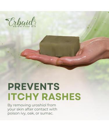 Poison Ivy Soap Bar All Natural Treatment for Poison Ivy Oak & Sumac Anti-Itch Skin Cleanser Soothes & Relieves Rashes Made in USA 5oz - Buy Online on GoSupps.com