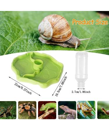 BEANPRECOY Reptile Water Dispenser Turtle Water Bowl 2 in 1 Reptile Automated Feeder Turtle Water Dispenser with Bottle for Turtles Hamsters Lizards Bearded Dragon Snake (Green) - Buy Online on GoSupps.com