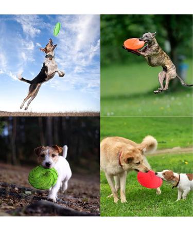 WENYIEN 3 Piece Frisbees for Dogs Pet Flying Saucer Rubber Flying Disc Interactive Outdoor Toy 7 Inches/18 cm Perfect for Dog Throw Training Playing and Catching - Buy Online on GoSupps.com