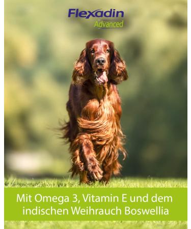 FLEXADIN ADVANCED Dog Joint Health Treats | Undenatured Collagen Type II (UC-II ) & Boswellia | 60 Count - Shop Internationally! - Buy Online on GoSupps.com