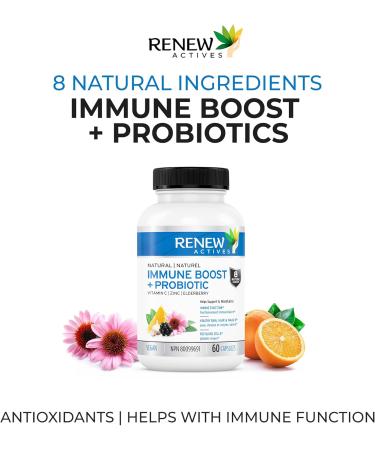 Renew Actives Wellness Supplement - Antioxidant Capsules with Elderberry Probiotics Zinc Vitamin C & Organic Turmeric Supports Immune Function & Collagen Formation 60 Vegan Capsules (2 Pks) 60 Count (Pack of 2) - Buy Online on GoSupps.com