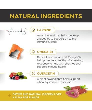 PetHonesty Immune Health Lysine Supplement Powder for Cats - Cat Allergy Relief - Omega 3s & L-Lysine - Chicken & Fish Flavor - Buy Online on GoSupps.com