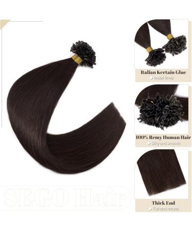 20" Keratin Pre Bonded Human Hair Extensions 100 Strands (#2 Dark Brown 50g) - Buy Online on GoSupps.com