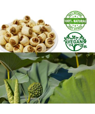 DOL Natural Dried Lotus Seeds Packed In USA  16 Ounce 1 Pound (Pack of 1) - Buy Online on GoSupps.com