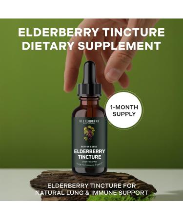 Betterbrand BetterLungs Elderberry Tincture, Natural Immune Support Supplement - Sugar-Free, Non-GMO, Alcohol Free, Vegetarian - 30 Day Supply - Buy Online on GoSupps.com