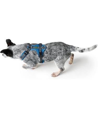 Hunter Harness Maldon Up | Size ML | Blue/Grey - International Shipping Available - Buy Online on GoSupps.com