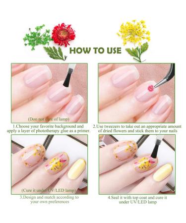 Kingmas 12 Colors Dried Flowers Nail Art Supplies - Mini Real Natural 3D Applique Decoration Sticker - Buy Online on GoSupps.com