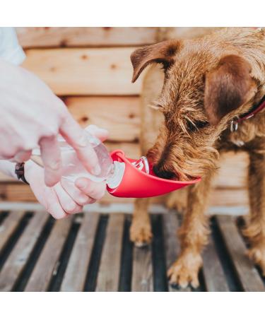 HUNTER 550ml Outdoor Drinking Bottle with Silicone Bowl - Red | International Shipping Available - Buy Online on GoSupps.com