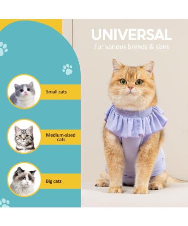 Avont Katzenbody: Recovery Suit for Cats - Post-Op Protection for Castration Spay & Abdominal Wounds - Lilac Large - Buy Online on GoSupps.com