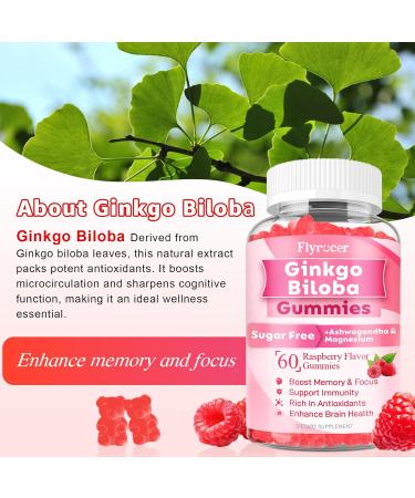 Ginkgo Biloba 300mg Gummies for Adults & Kids, Ginkgo Biloba Supplements for Focus, Memory, and Brain Health, Vegan, Sugar-Free, Raspberry Flavor, 60 Count 60 Count (Pack of 1) - Buy Online on GoSupps.com