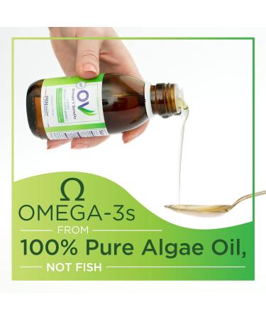 Omega-V Benefits Liquid Omega 3 Supplement - 5 oz 30-Day Supply - Vegan Supplement with 1000mg EPA & DHA for Eye Health 5 Fl Oz (Pack of 1) - Buy Online on GoSupps.com