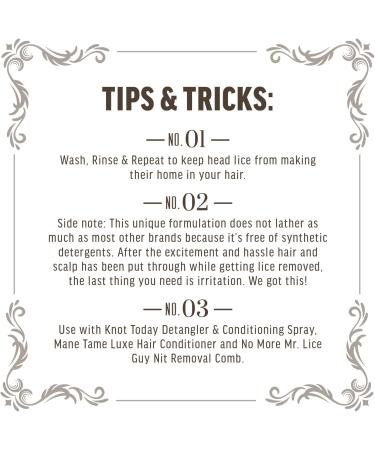 Rise and Shine Shampoo - Sulfate Free Hydrating Lice Shampoo with Citronella Peppermint & Rosemary | Safe for Daily Use & Paraben Free | 8 Fl Oz - Suitable for All Hair Types - Buy Online on GoSupps.com