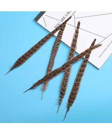 AWAYTR 20pcs Natural Female Pheasant Feathers - 8-11inch DIY Decoration - Buy Online on GoSupps.com