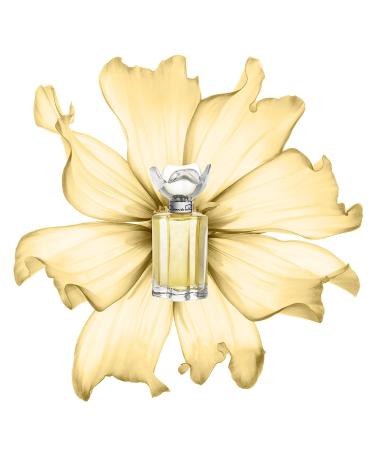 Oscar de la Renta Esprit D'Oscar Eau de Parfum Perfume Spray for Women - 3.4 Fl. Oz - Buy Online on GoSupps.com