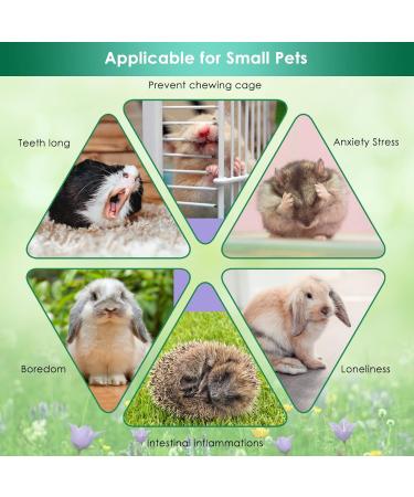 Erkoon Rabbit Chew Toys - 11-Piece Natural Apple Wood & Timothy Hay Set for Bunnies Chinchillas & Guinea Pigs - Dental Care & Fun! - Buy Online on GoSupps.com