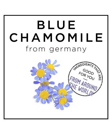 Hask Chamomile & Argan Oil Blonde Care Shampoo - 12 oz | Enhance and Maintain Blonde Hair - Buy Online on GoSupps.com