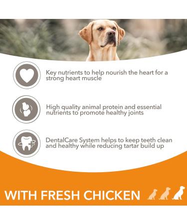 IAMS Complete Dry Dog Food for Senior 7+ Large Breeds with Chicken 12 kg Chicken 12 kg (Pack of 1) - Buy Online on GoSupps.com