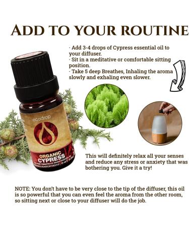 Ecodrop Pure Cypress Essential Oil 10ml - 100% Natural Therapeutic Grade Italian Cupressus Sempervirens Oil | Organic Aromatherapy Diffuser & Massage Oil for Emotional Well-Being & Skin Health - Buy Online on GoSupps.com