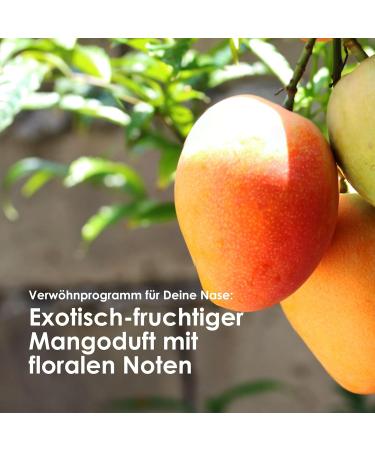 Jean & Len Lockentraum Shampoo Mango & Matcha tames unruly and frizzy hair paraben & silicone free vegan 300ml - Buy Online on GoSupps.com