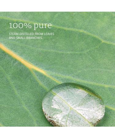 Buy NOW FOODS Eucalyptus Oil 1 Oz - Pure Aromatherapy Essential Oil for Natural Relief | Fast International Shipping - Buy Online on GoSupps.com