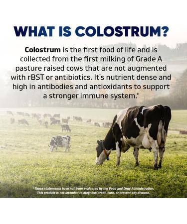 Vitamatic Bovine Colostrum 30% IgG Supplement 1500 mg per Serving - Supplement for Gut Health Hair Growth Beauty Muscle Recovery & Immune Support - 180 Veg Capsules 180 Count (Pack of 1) - Buy Online on GoSupps.com