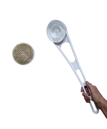 SELYBACK 17.8 Body Brush  Attachable Brush Cap  Boar Bristle  Brush Water Removal Design