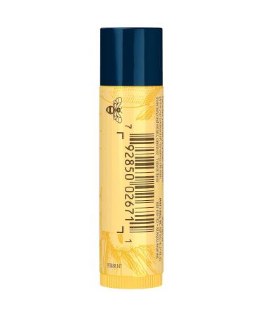 Burt's Bees Vanilla Bean Lip Balm - Natural Moisturizer with Beeswax | Tint-Free Conditioning Lip Treatment - 0.15 oz - Buy Online on GoSupps.com