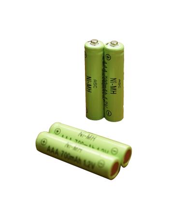 ASC Solar Light AAA Ni-MH Rechargable Batteries for Solar Lights (Pack of 12) (AAA 700mAh)