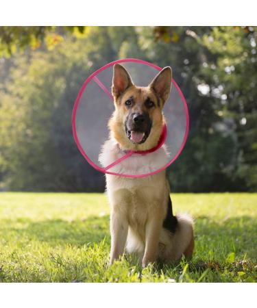 Adjustable Recovery Cat Cone Dog Collar | Clear Padded E-Collar for Cats and Puppies - Pink - M Size - Buy Online on GoSupps.com