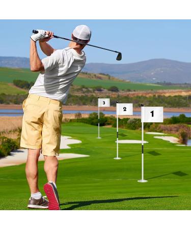 3 Set Golf Flagsticks with Cups for Practice Putting Green - Portable Mini Golf Flag Sticks with Nylon Flags and 2 Section Design - Buy Online on GoSupps.com