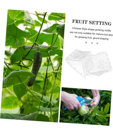 Kisangel 4 Pcs Square Apple Molds Vegetable Fruit Styling Fruit Stereotypes Melon - Buy Online on GoSupps.com