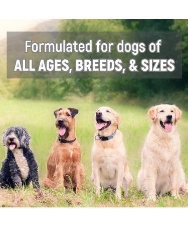 miNATURALS Pets K9 Fibre Training Treats for Dogs 400 Bites Natural Superfoods with Peanut Butter Pumpkin Banana & Apple Digestive Support Dogs Made in Canada - Buy Online on GoSupps.com