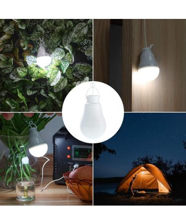 FF FLASHFISH USB Light Bulb(2 Pack) for Camping Outdoor Home and Power Out - Buy Online on GoSupps.com