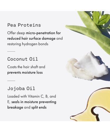 Fekkai Clean Stylers Prime Mist - 5 oz - Hydrates Detangles Controls Frizz & Offers Heat Protection - Free of Sulfates Parabens Phthalates - Vegan Cruelty-Free - Buy Online on GoSupps.com