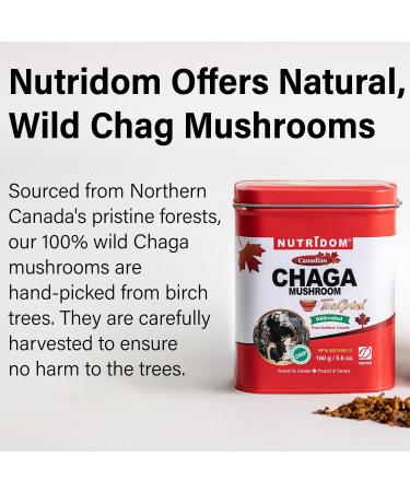 Nutridom Canadian Chaga Mushroom Tea Grind Pebbles Wild-Harvested Hand-Picked 160 g - Buy Online on GoSupps.com