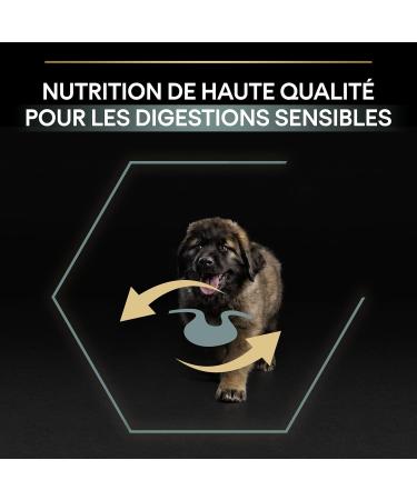 PURINA PRO PLAN | Large Robust Puppy 2 Sensitive Digestion | Rich in Lamb | Dry Food | Puppy | 12kg Bag - Buy Online on GoSupps.com