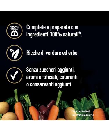 Cesar Natural Goodness Casserole Wet Food for Dogs with Chicken and Whole Grain Pasta Flavor in Sauce 6 Cans of 400 g Total 2.4 kg - Buy Online on GoSupps.com