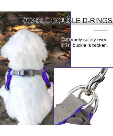 Rennaio No Pull Dog Harness & Leash Set | Adjustable Chest Harness & Puppy Dishes for Small/Medium Dogs - Ultra Comfortable (Purple M) - Buy Online on GoSupps.com