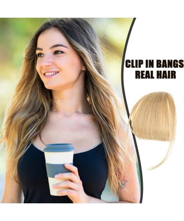 Generic Bang Extensions Clip Human Hair - French Bangs Clip on Hair Bangs Extensions Neat Bangs Hair Extension French Bangs Clip On Fake Bangs Fringe Stylish Fringe Hairpieces for Dinner Date gold - Buy Online on GoSupps.com