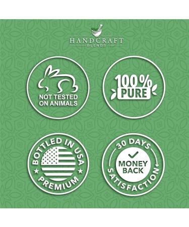 Handcraft Blends Purify & Balance Set: Frankincense and Tea Tree Essential Oils (2 x 4 Fl Oz) 100% Pure & Natural for Diffuser Aromatherapy and DIY Projects - Buy Online on GoSupps.com