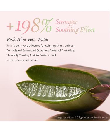 APRILSKIN Pink Aloe Vita Toner - Hydrating & Soothing 80% Aloe Vera Water | Vegan Korean Skin Care | Reduces Redness & Controls Sebum (8.45 fl. oz - Buy Online on GoSupps.com